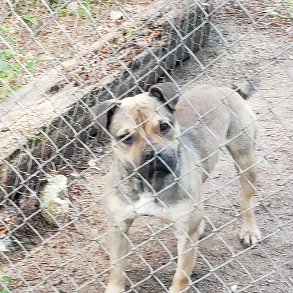 Meet your Posher, Joseph - Picture 1 of 1